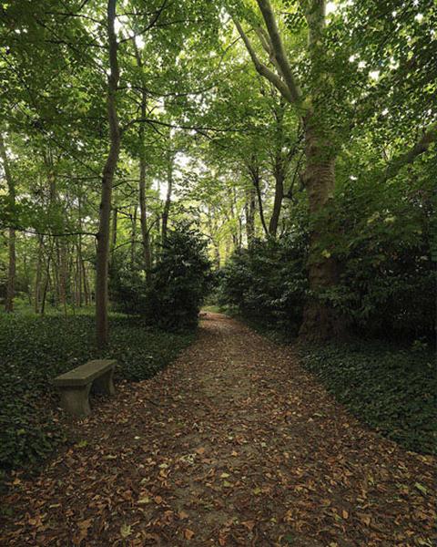 Une allée dans le parc.