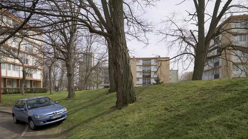 Talus arboré reliant à l'avenue Frédéric-Joliot-Curie la pelouse qui fait suite à la place Ambroise-Paré.
