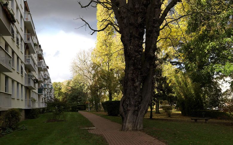 Ablon-sur-Seine, cité dite résidence du Château, allée des Tamaris, avenue de l' Europe, allée du Bois . Vue de la résidence et du parc.