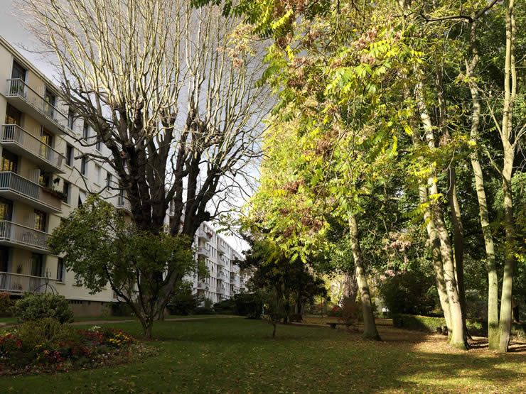 Ablon-sur-Seine, cité dite résidence du Château, allée des Tamaris, avenue de l' Europe, allée du Bois. Vue du parc.