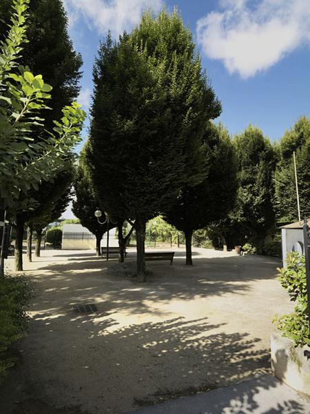 Vue d'une allée de conifères, à l'entrée du jardin public, rue du Docteur Leray.