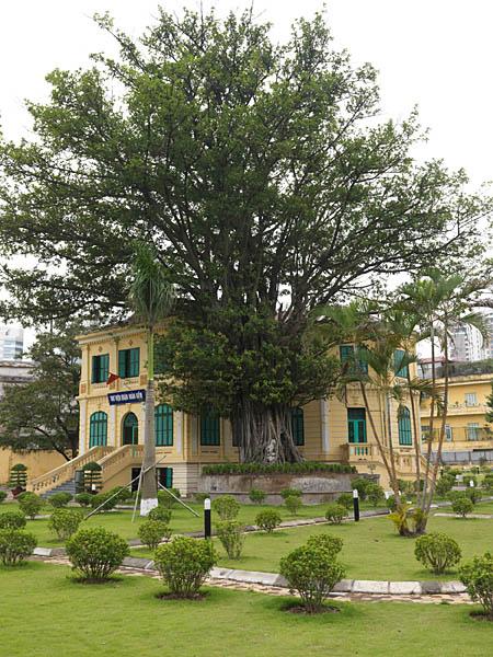 Vue d'ensemble d'une bibliothèque et de son jardin, ancienne nonciature apostolique appartenant à l¿enceinte des Missions. rue Nha chung. Vers 1900.