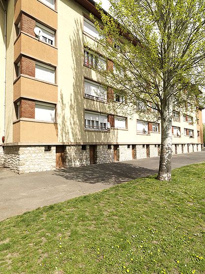 Vitry-sur-Seine, cité des Peupliers, 23 impasse Jean Jaurès. Vue d'un des arbres du jardin.