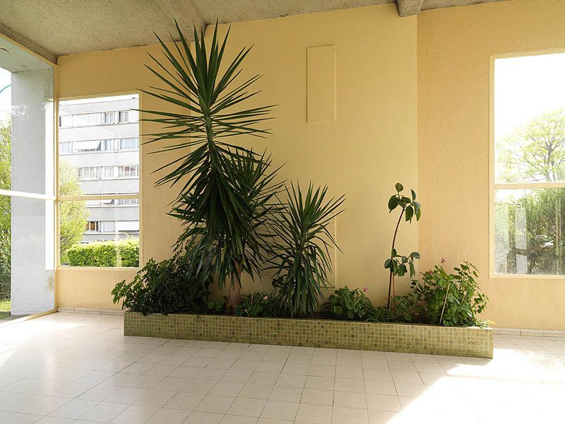 Détail d'un bac planté à l'intérieur d'un hall d'entrée (barre R+10). Le bac est décoré de carreaux de céramique verte.