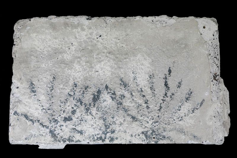 graffiti de chambrée sur carreau de plâtre formant contre-cloison