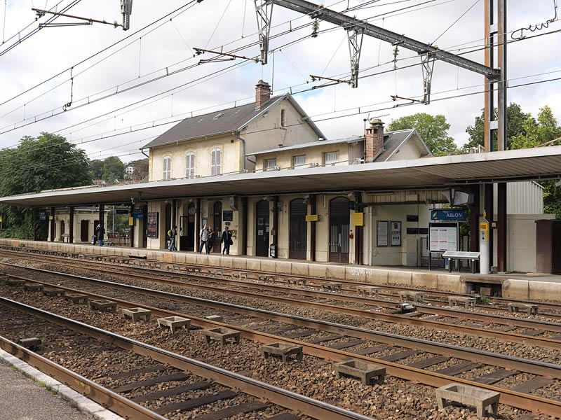 Ablon-sur-Seine, gare, place de la Libération. Vue d'ensemble de la gare: quais et voies.