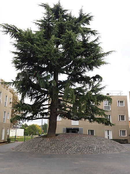 Place du quartier des Tiroirs.