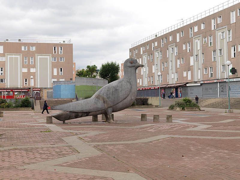 Place de la treille, les pigeons.