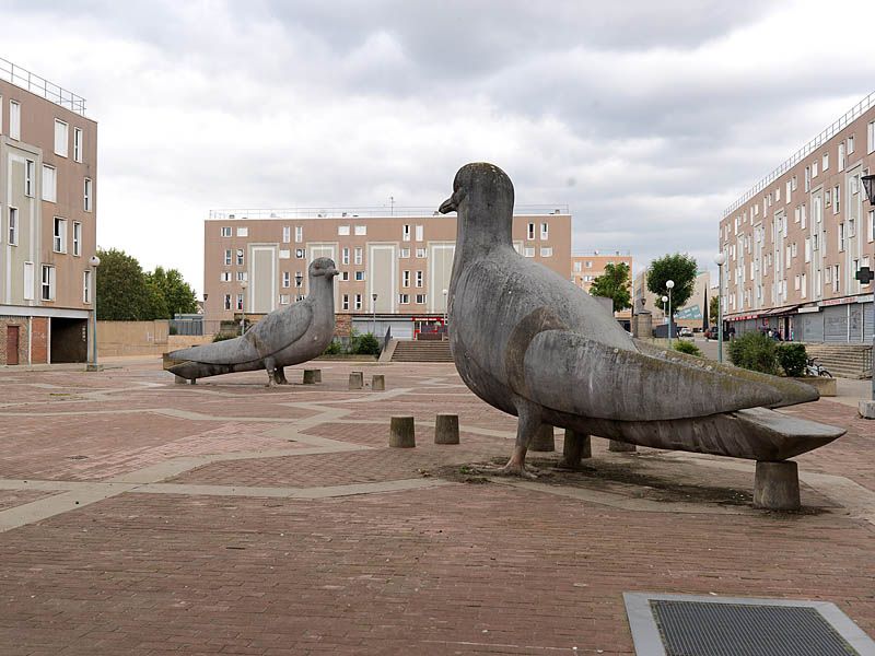Place de la treille, les pigeons.