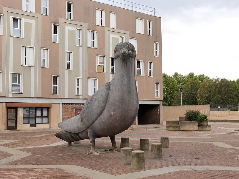 Place de la treille, les pigeons.