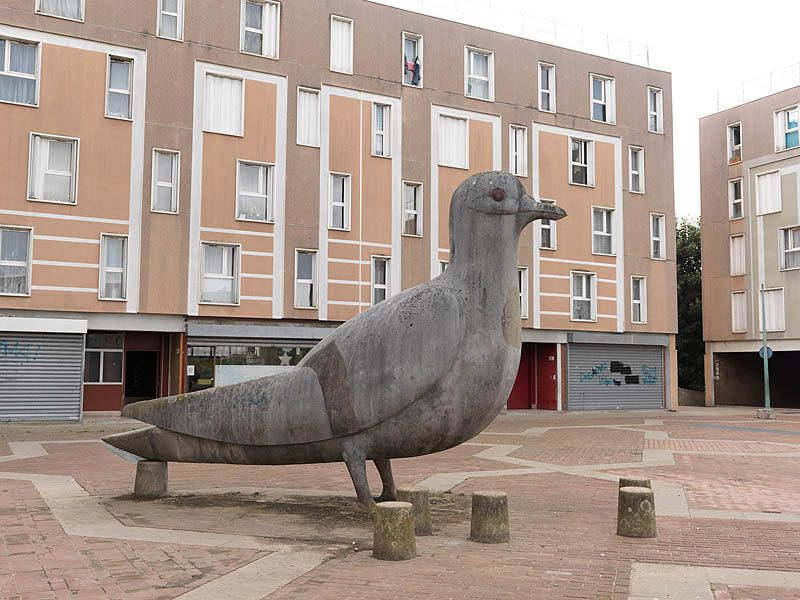 Place de la treille, les pigeons.