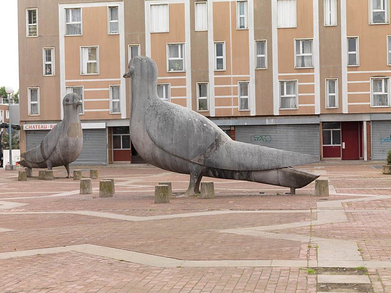 Place de la treille, les pigeons.