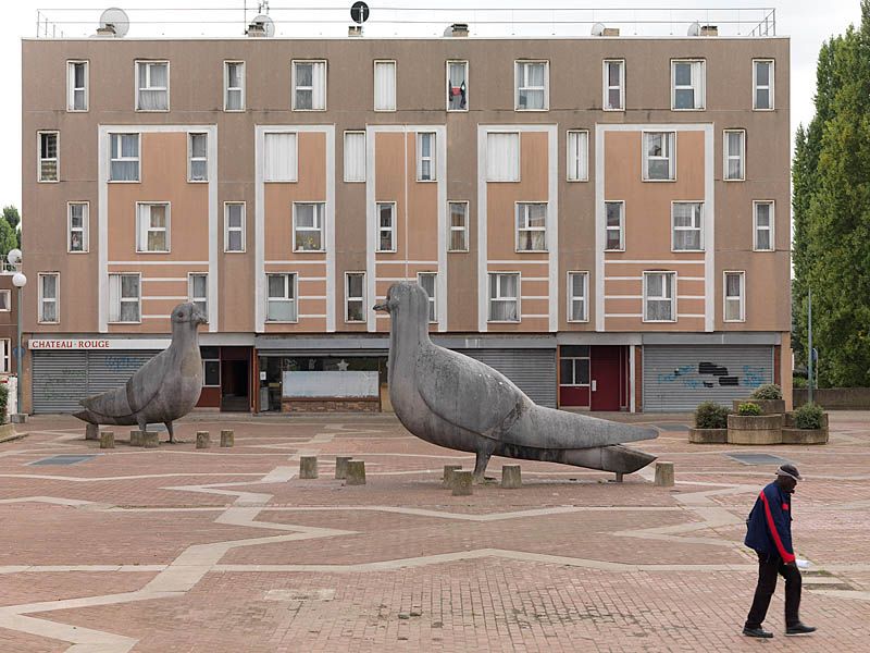 Place de la treille, les pigeons.