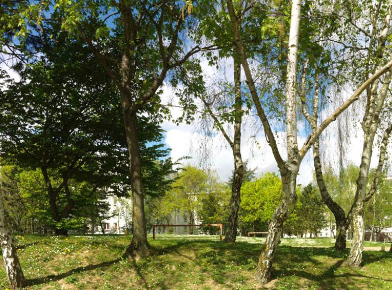 Vue générale du théâtre de verdure, dans le secteur ouest. 