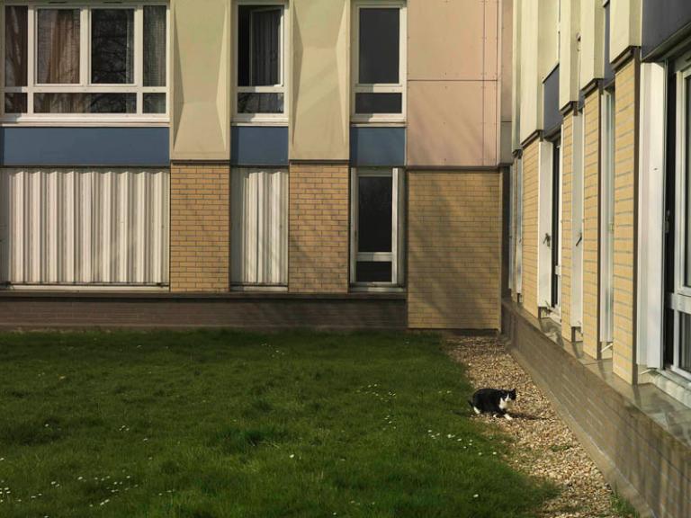 Façade et soubassement d'un immeuble après rénovation. 