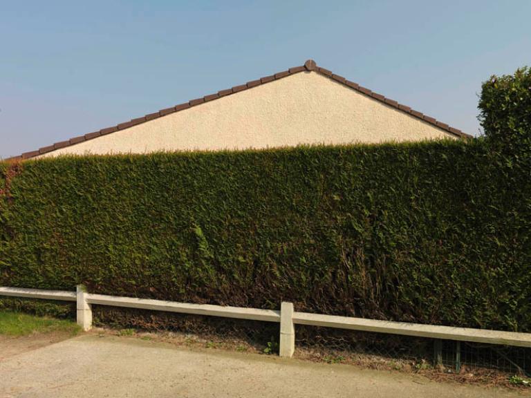 Haies taillées et barrières blanches délimitent les parcelles des pavillons individuels. 