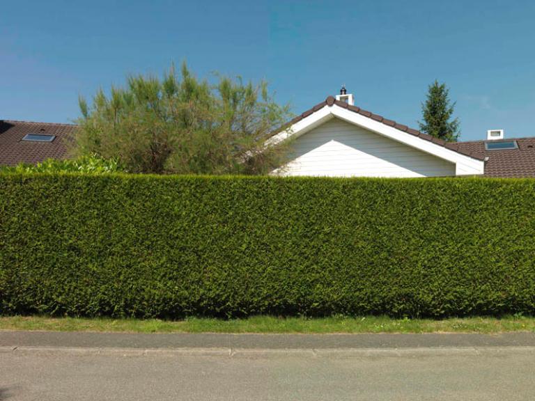 Les maisons du lotissement des Belles au Bois Dormant se distinguent par leur style "à l'américaine" : ici, le revêtement d'un pignon en bardage. 