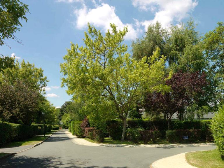 L'environnement très végétalisé du Bois de la Grille. 