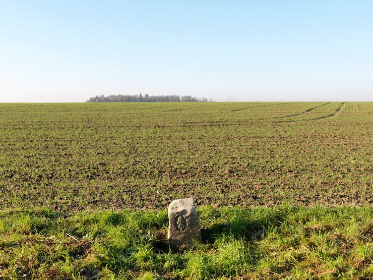 Vauhallan, chemin du Trou-rouge. Vue des champs au nord du lieu-dit La Martinière dont on aperçoit le petit massif boisé en arrière plan ; en premier plan une borne royale.