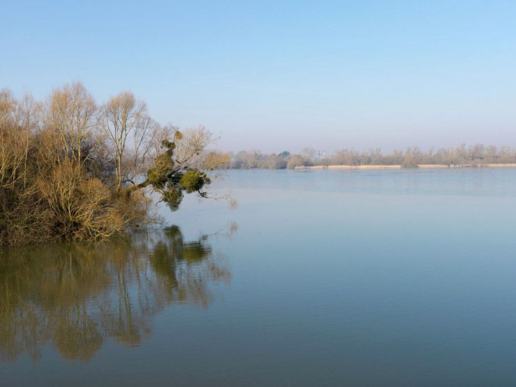 Saclay, route d'Orsay. Vue de l'Etang-Vieux depuis la route.