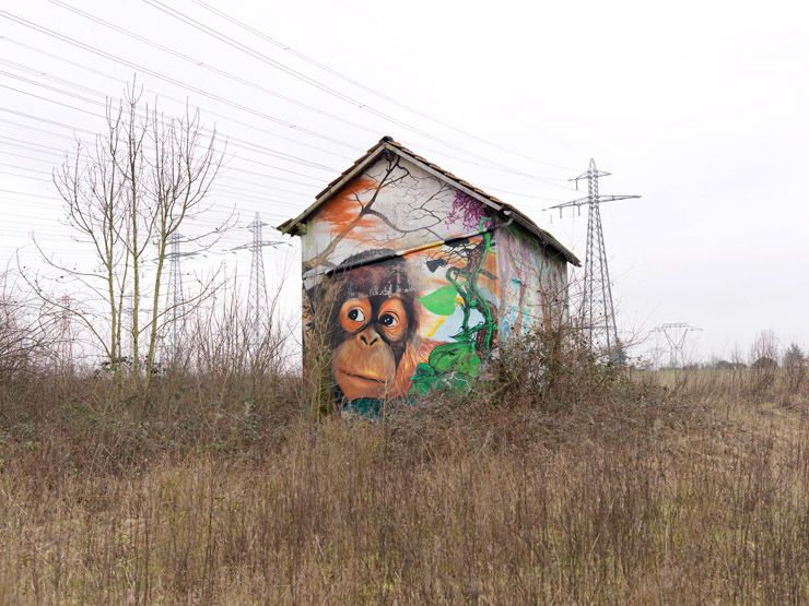 Villejust, avenue de la Plesse. Peinture murale sur une maison abandonnée.