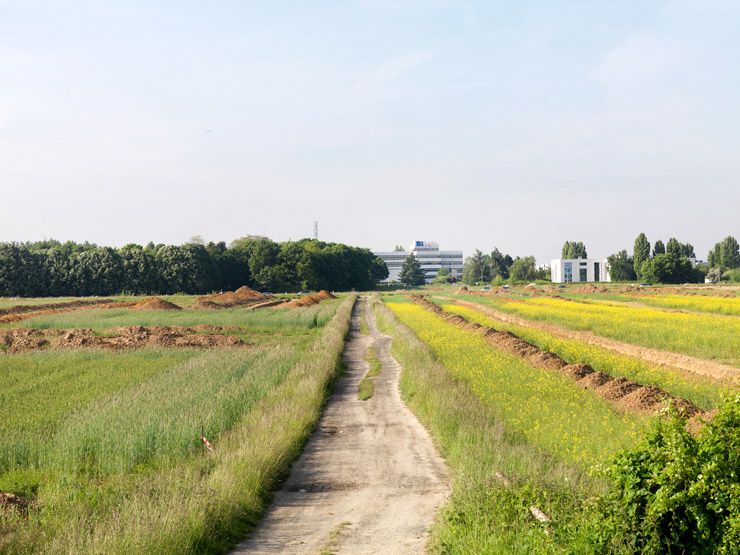 Gif-sur-Yvette, rue Francis Perrin. Laboratoires de recherche en bordure de terrains agricoles en cours d'urbanisation.