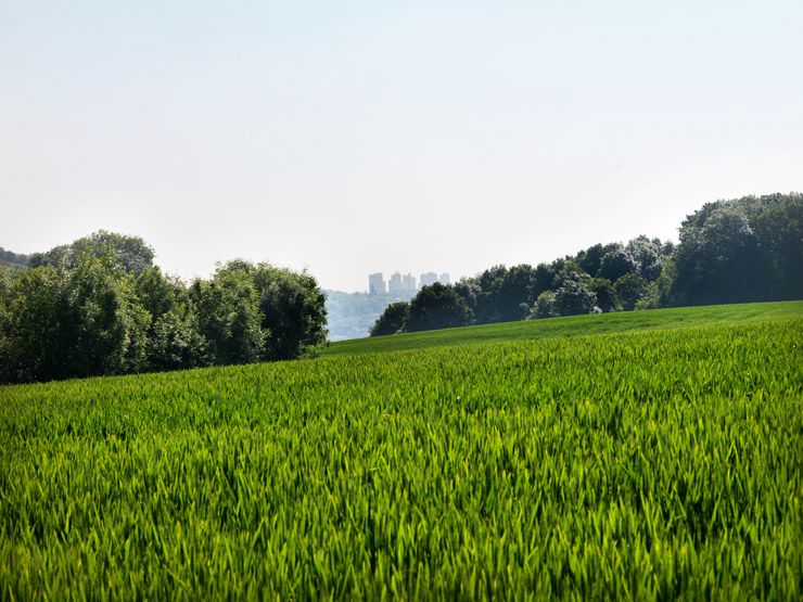 Gif-sur-Yvette, rocade de Frileuse. Vue des bois de la Hacquinière depuis la rocad, au fond le grand ensemble des Ulis.