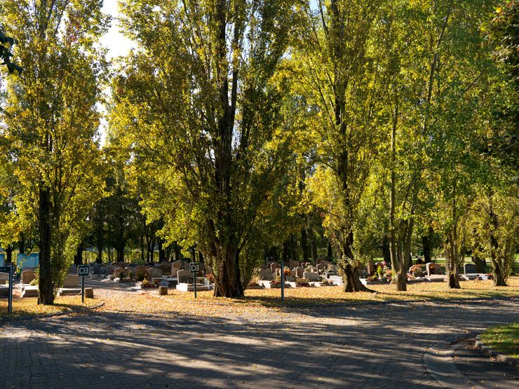 Cimetière intercommunal de la Fontaine-Saint-Martin