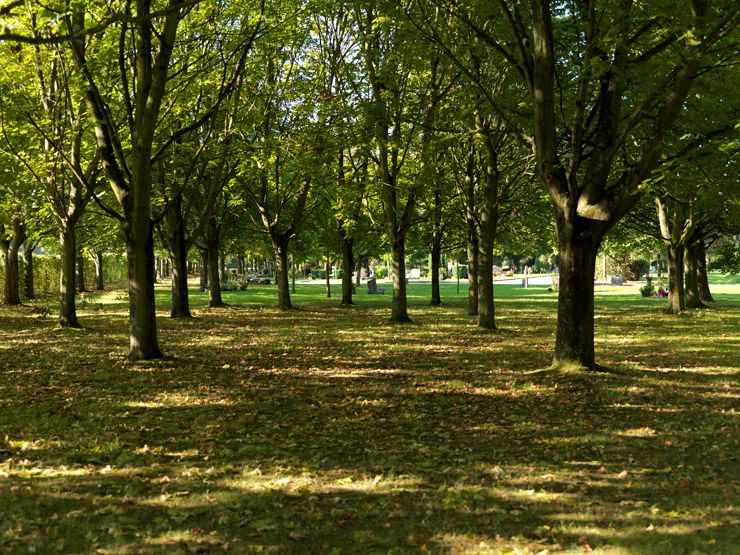 Zone paysagère sans sépulture.