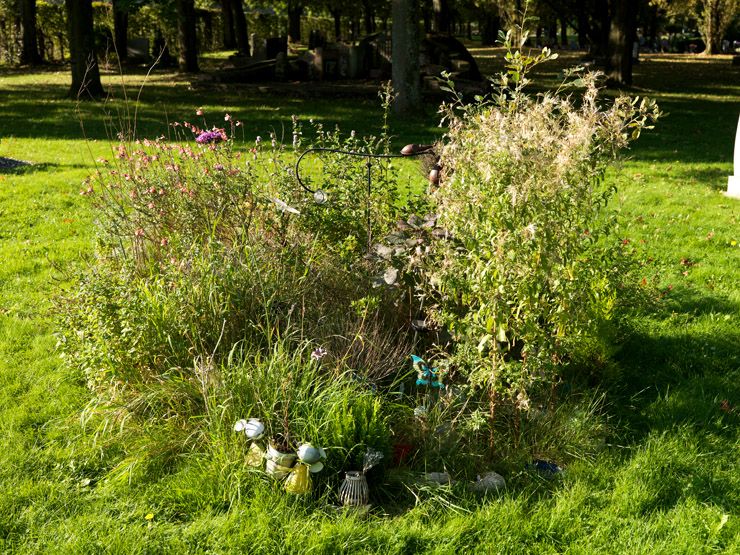 Sépulture végétalisée dans la zone paysagère (Yvonne Levy 1931-2011).