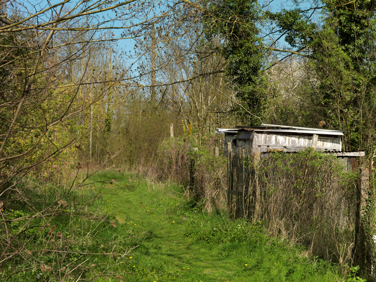 L'île aux dames : jardins potagers.