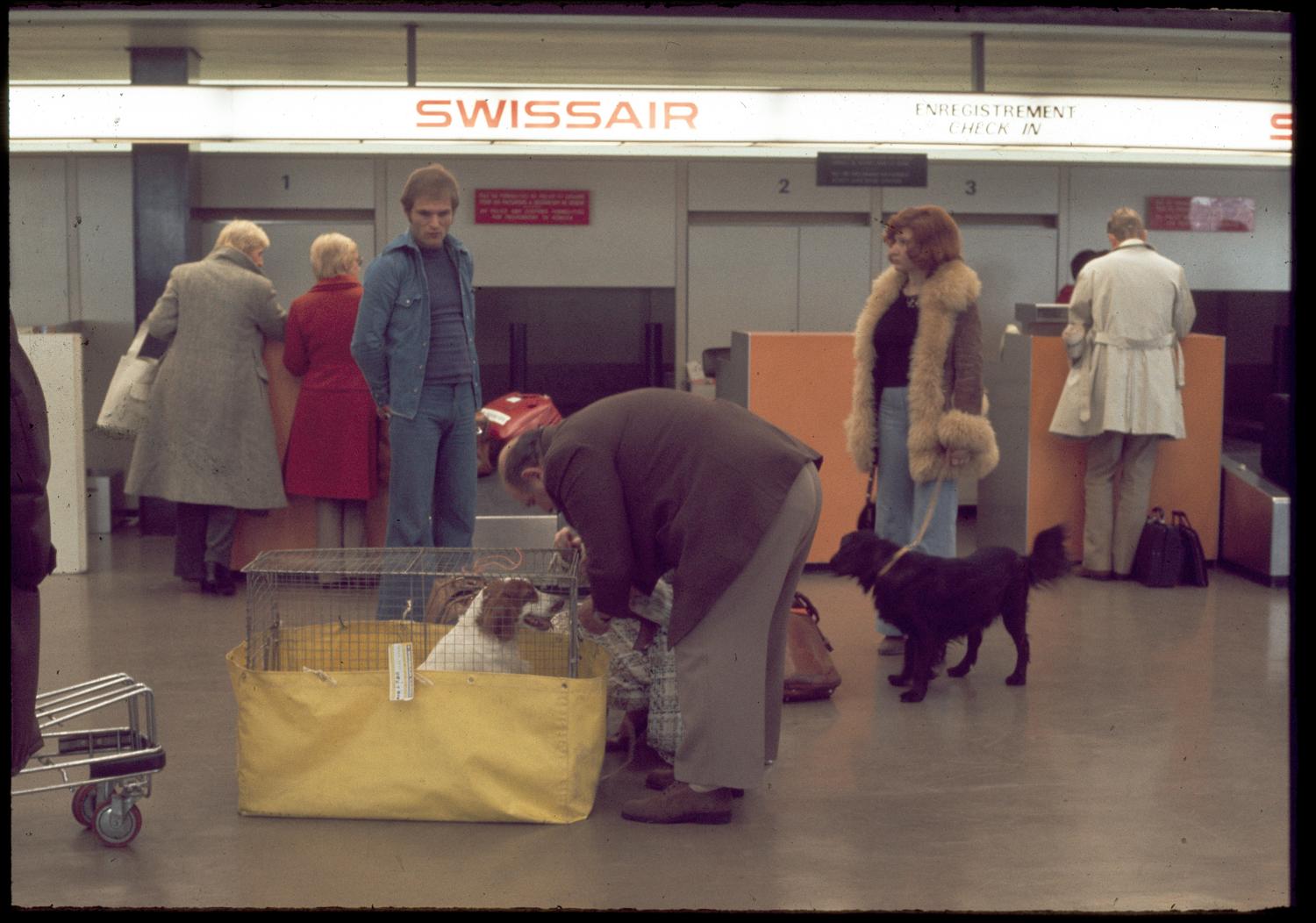 19/02/1974, Orly-Ouest, passagers canins de la Swissair.