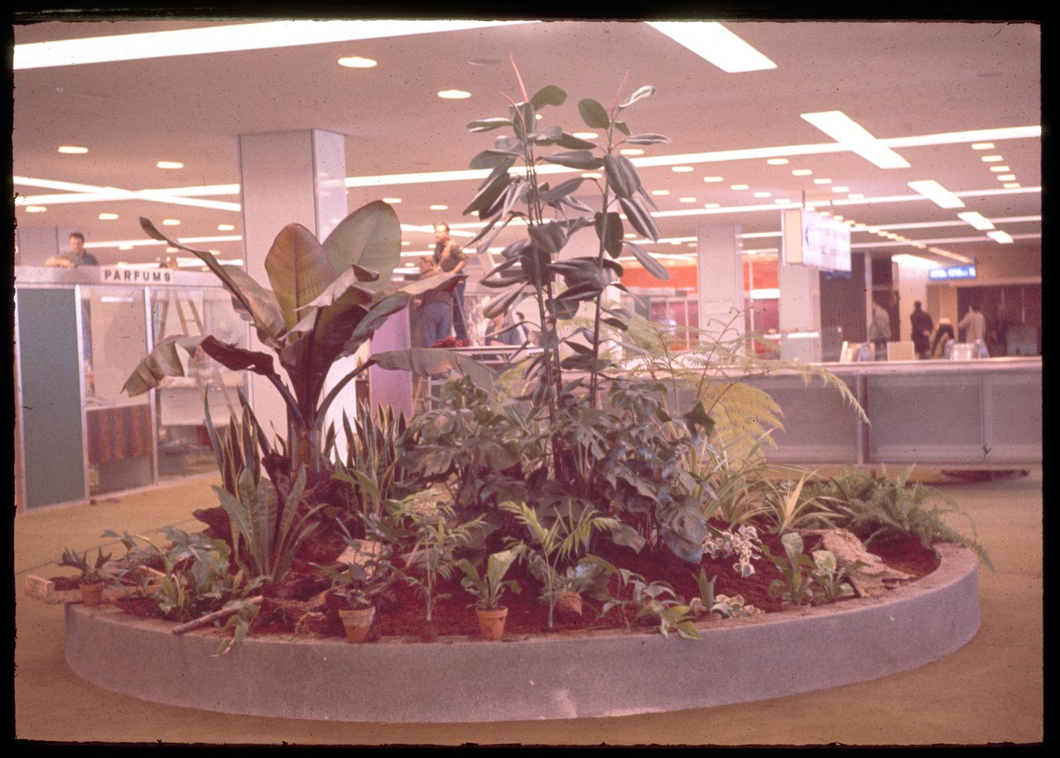 1961, plantes dans le salon du Transit (zone internationale), conception des aménagements: Joseph-André Motte assisté d'André Monpoix, 2ème étage.