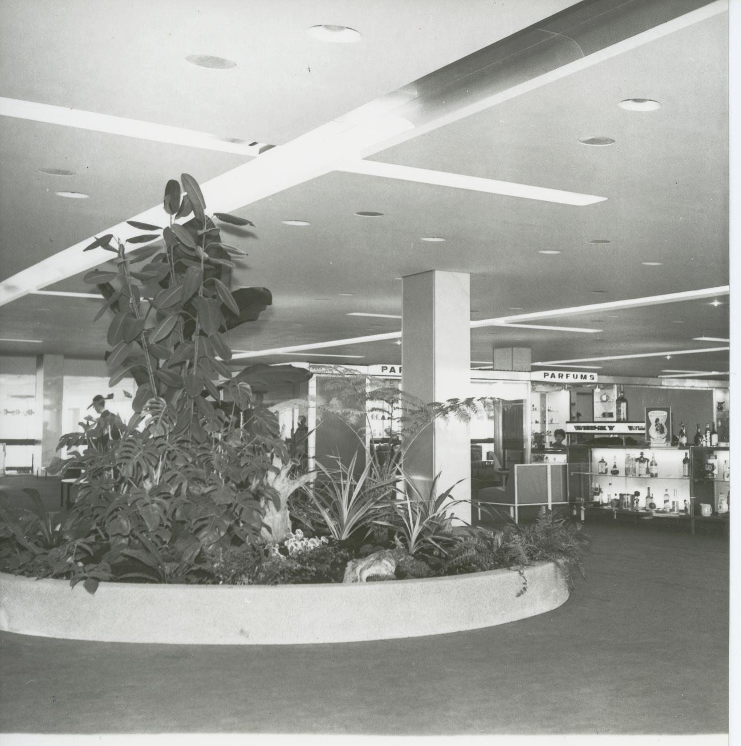 1961, plantes dans le salon du Transit (zone internationale), conception des aménagements: Joseph-André Motte assisté d'André Monpoix, 2ème étage.