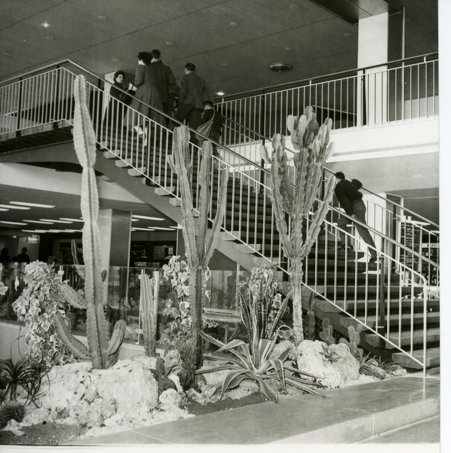 1961, la Galerie marchande, 1er étage.