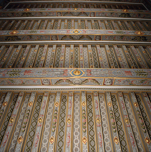 Vue d'un plafond décoré en bois polychrome.