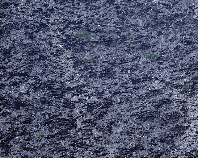 Vue de détail sur l'ancien terril.