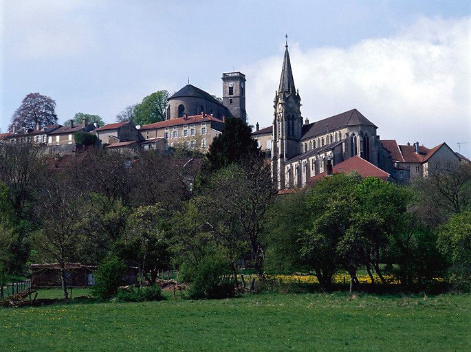 Vue d'ensemble prise des prés en contre-bas. A l'arrière-plan : église Notre-Dame.