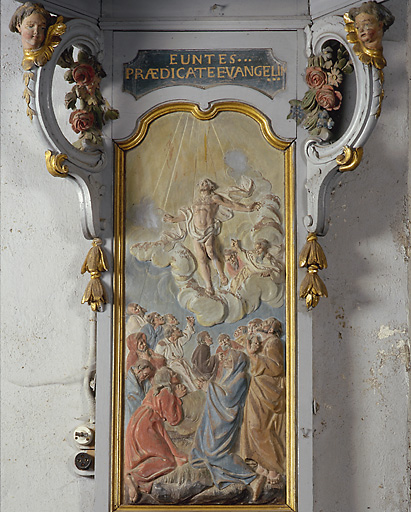détail : la dorsale.