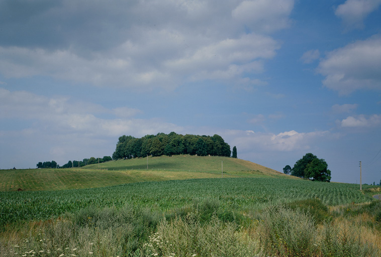 Vue du site actuel du Mont Reanud.