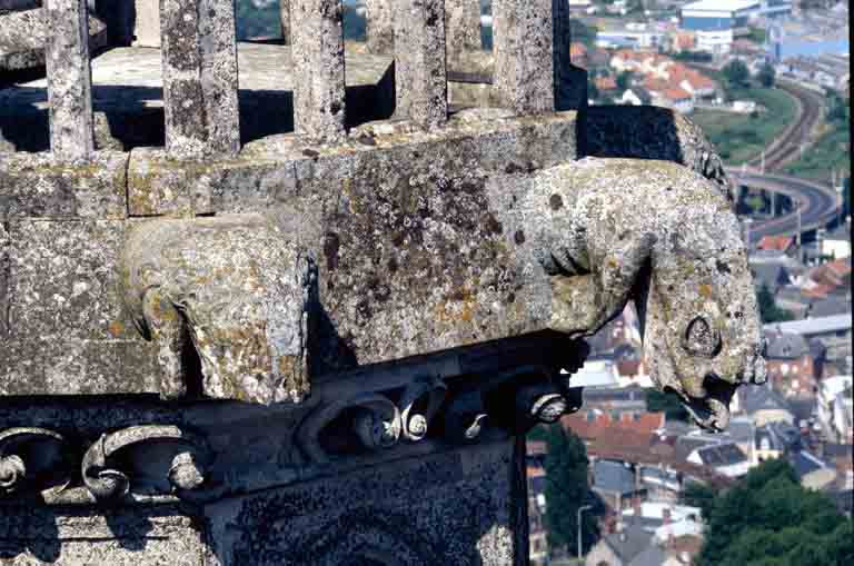 Vue extérieure : détail d'une gargouille de la tour nord.