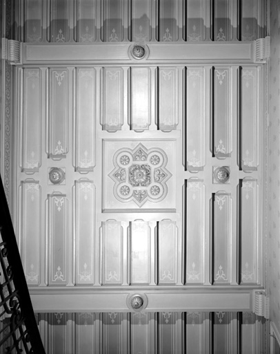 Vue d'ensemble du plafond de la cage d'escalier.