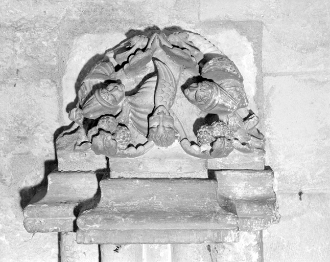 Dragons à tête humaine.