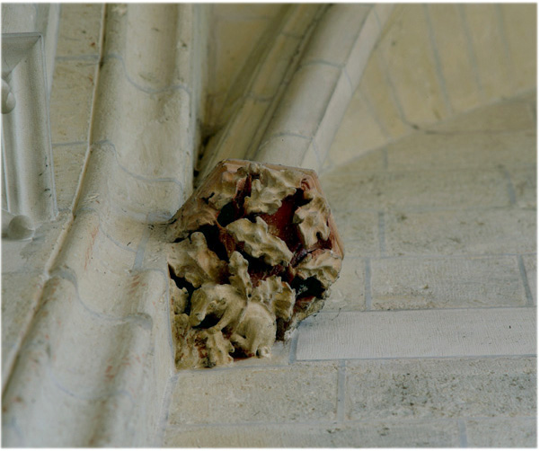 Culot de la 3e chapelle sud du choeur : porc mangeant des glands.