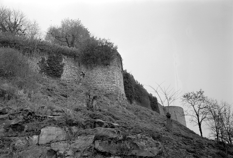 La Tour du Roy et les remparts du midi.