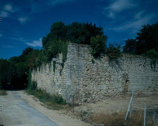 Vue d'ensemble du donjon depuis le sud-est.