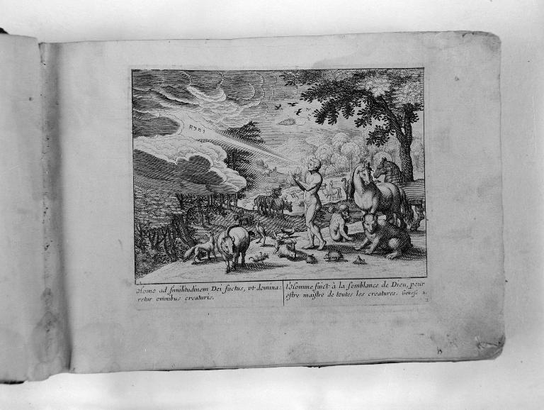 Vue d'une scène de la Genèse : l'homme maître des animaux.