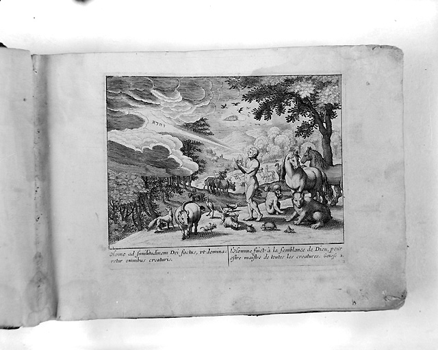 Vue de la scène de Génèse.