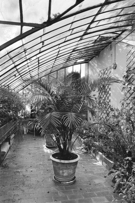 Vue intérieure de la serre.