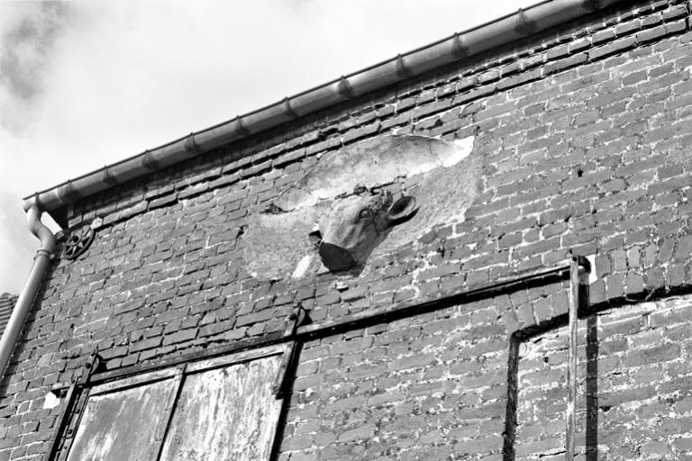 Détail de la tête de boeuf sculptée et insérée dans le mur de la façade sur rue.